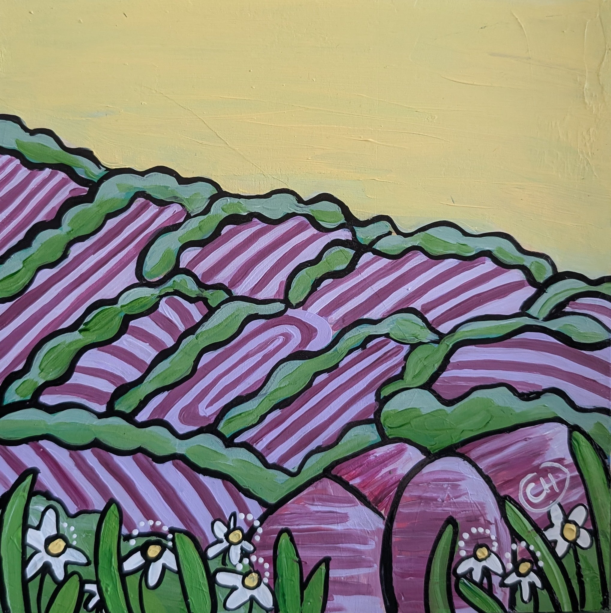 Fields of Piws